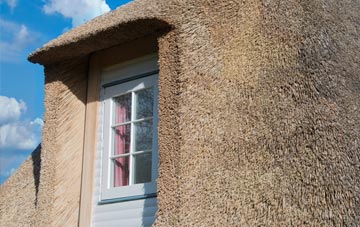 Downgate thatch roof disadvantages