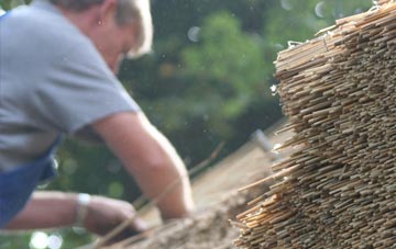 professional Downgate thatchers